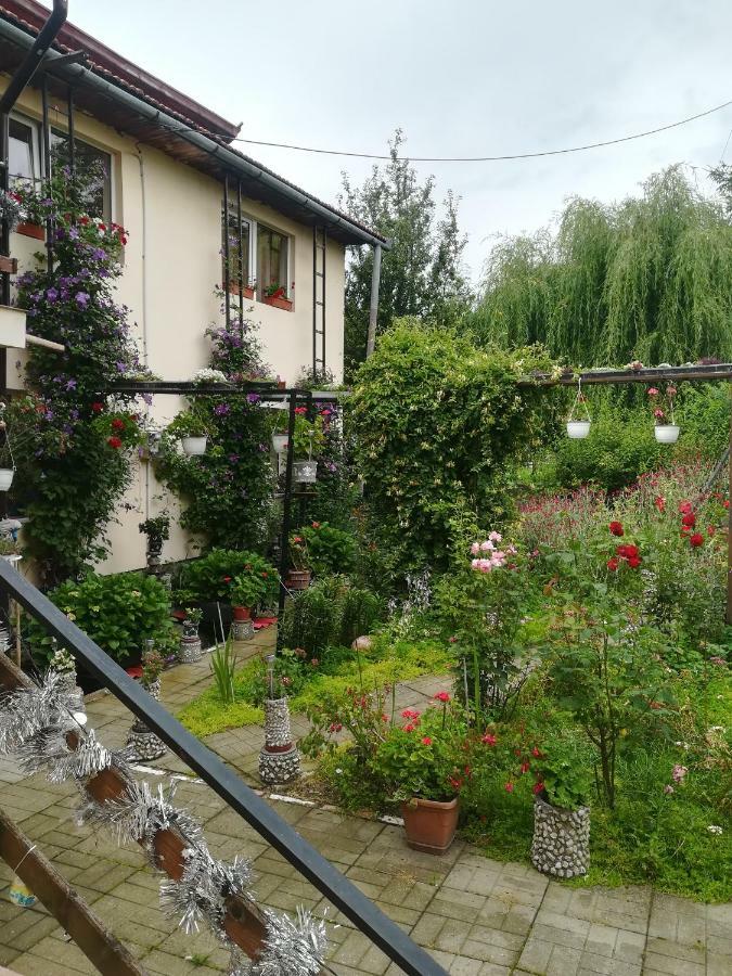 برانْ Casa Bradul Verde المظهر الخارجي الصورة