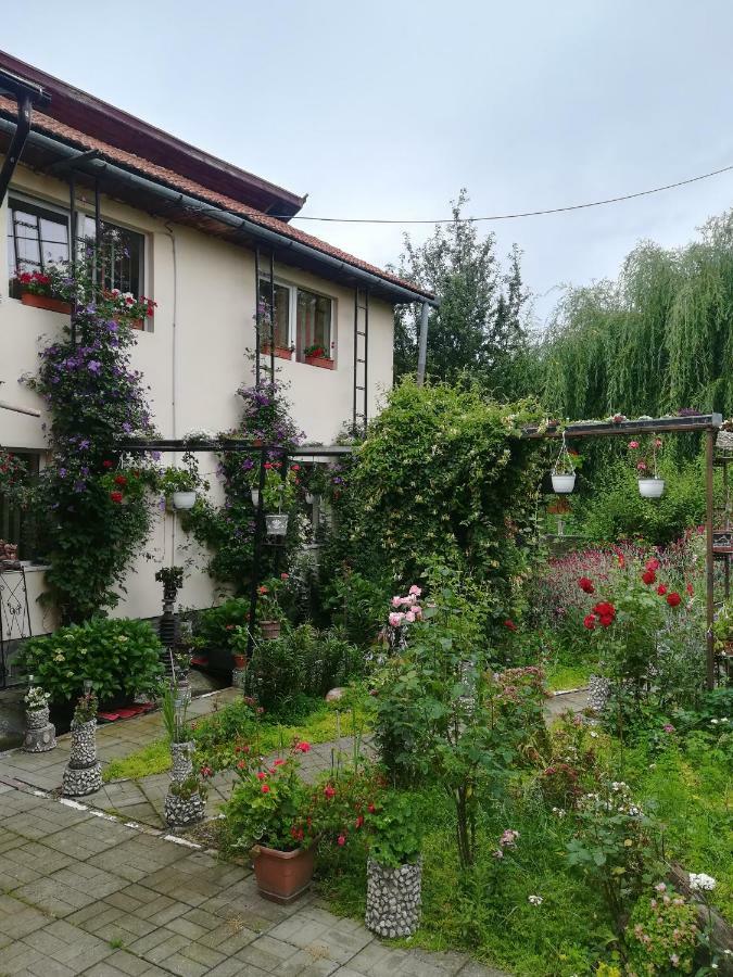 برانْ Casa Bradul Verde المظهر الخارجي الصورة